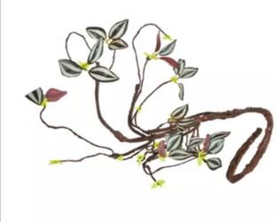 Thrive Tropical Climbing Vine