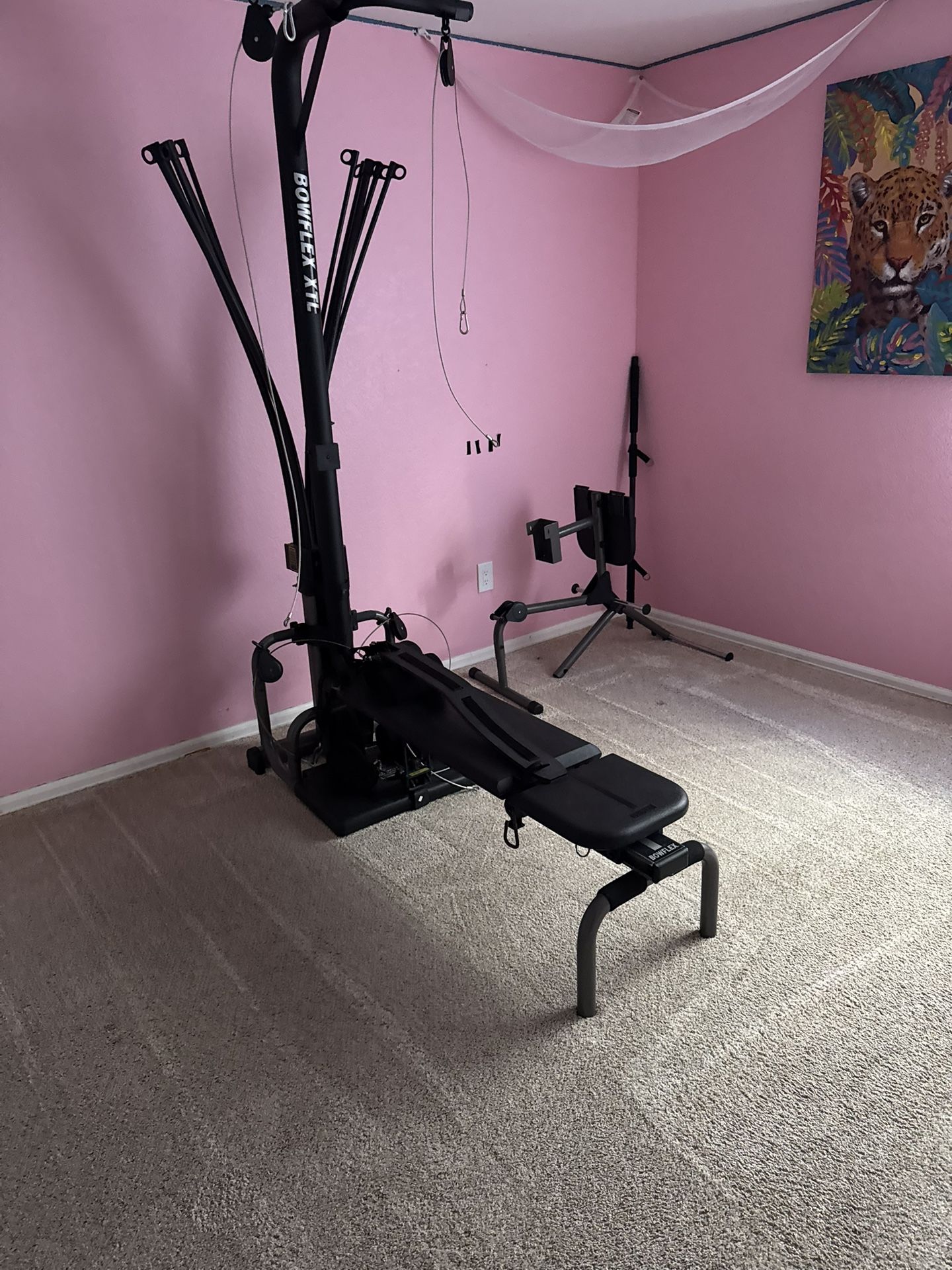 Moving Sale BOWFLEX XTL