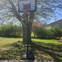 Lifetime height adjustable basketball hoop