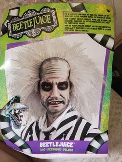 Beetlejuice Wig for Adults