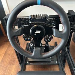 Fanatec Sim Racing Rig