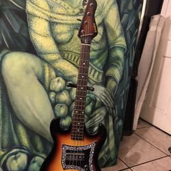 Electric Guitar , Schafer Bass 