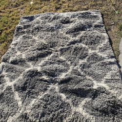 Area Rug 