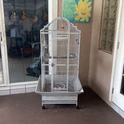 Parrot Cage