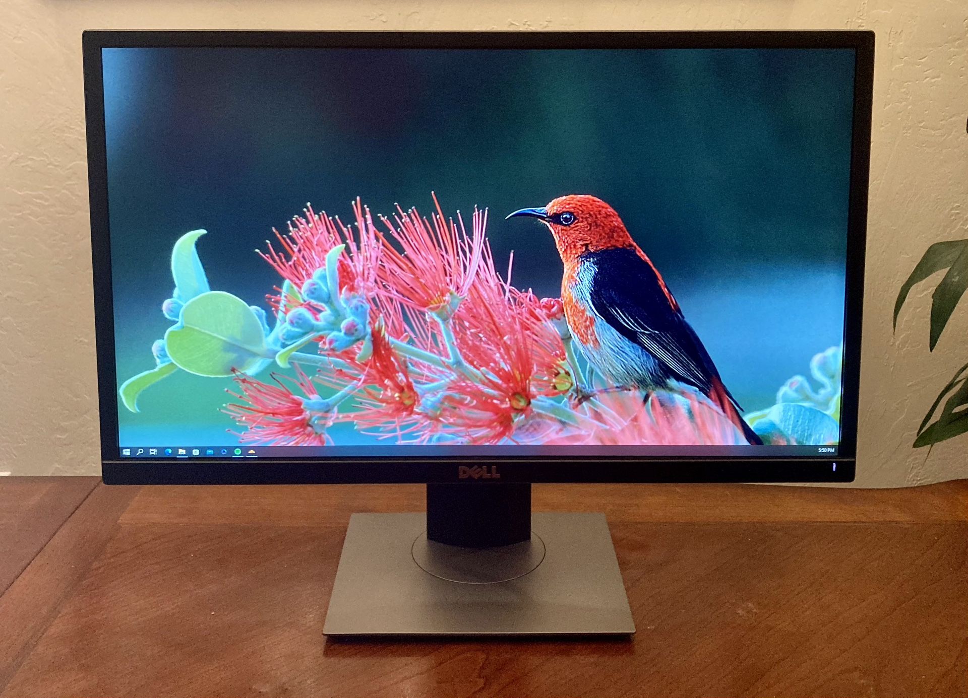 Dell 22" monitor (P2217H)