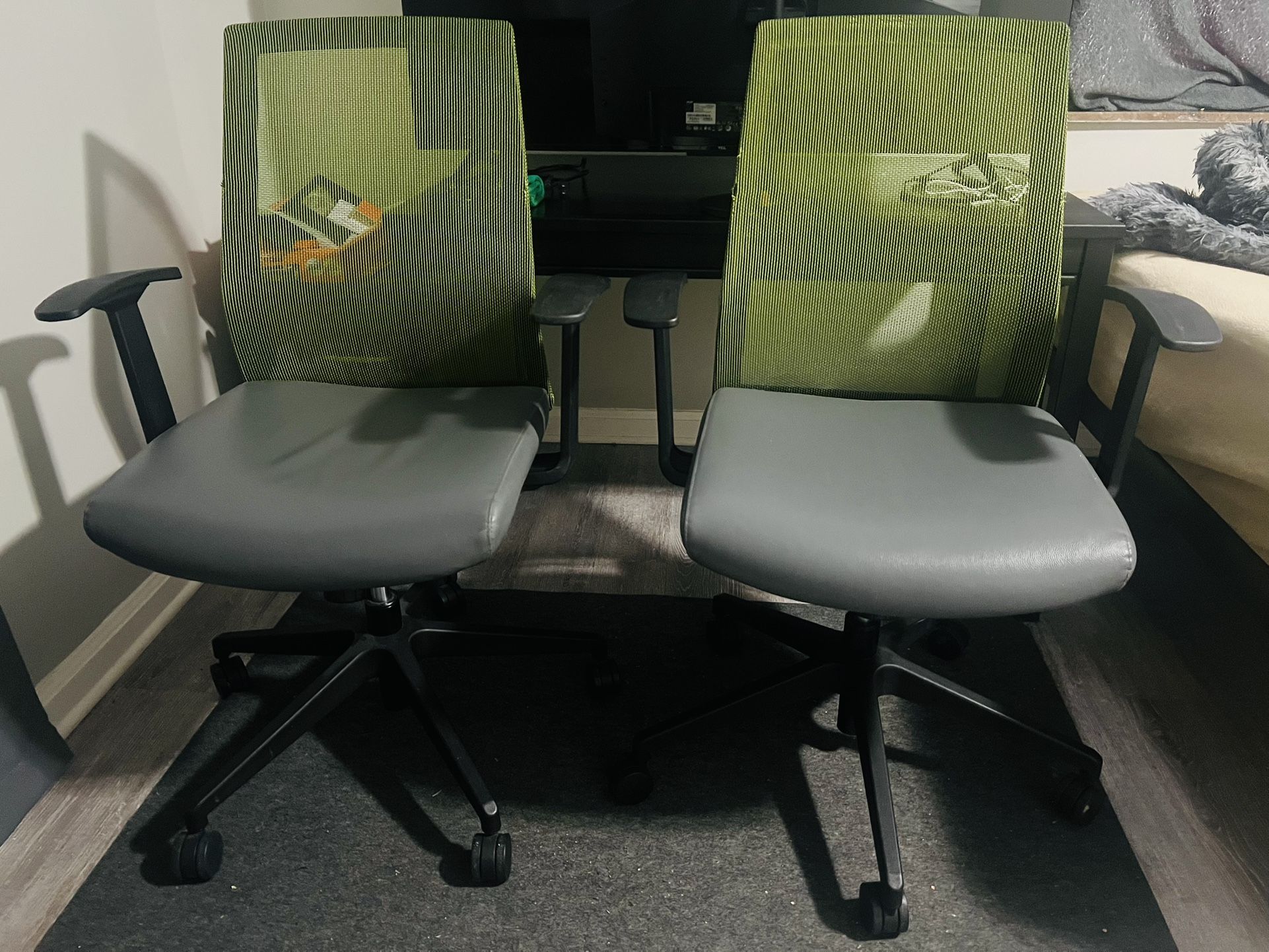 Office Chairs