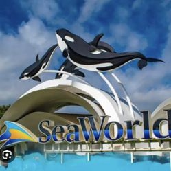 Sea world Tickets 