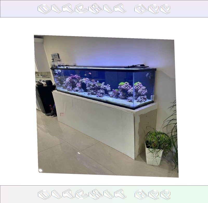 town approach Giant Aquarium Tank - Spacious & Magnificent