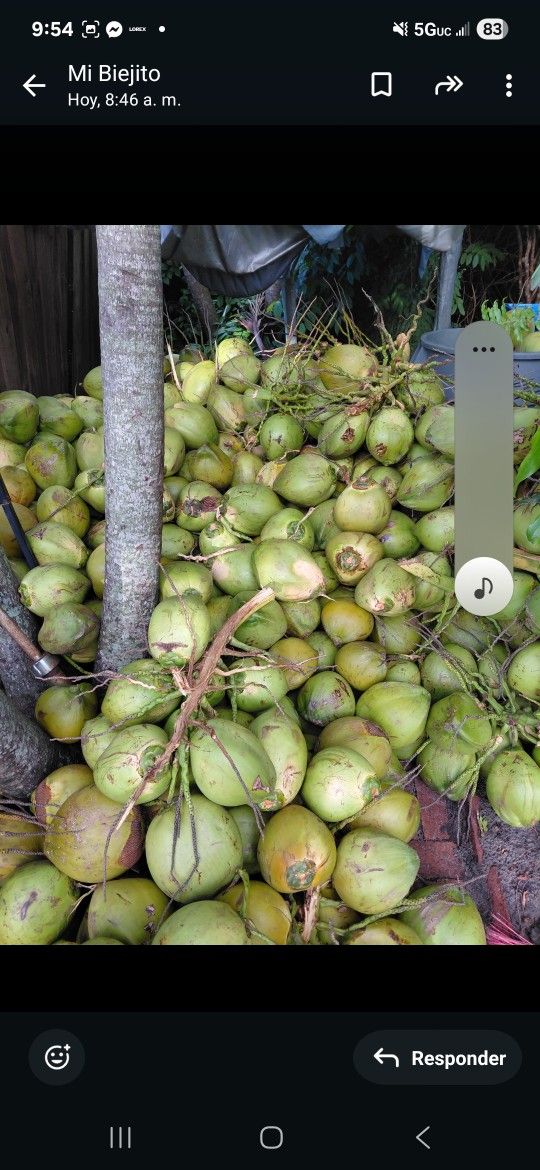 Cocos Frescos