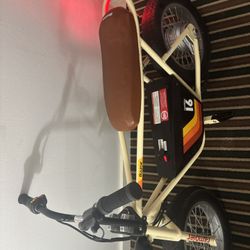 Razor Rambler 16 Electric Minibike