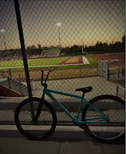 Throne 29er