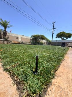 ///INSTALL—Grass— sod///