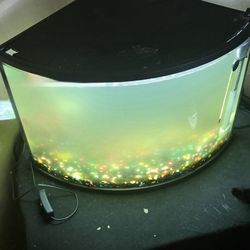 10 Gallon Fish Tank