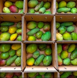 Fill a bag of Mangos 5.00