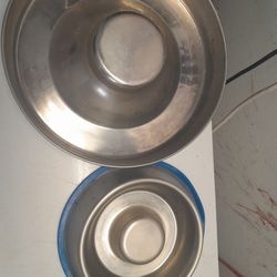 Puppy Bowls Small And Large