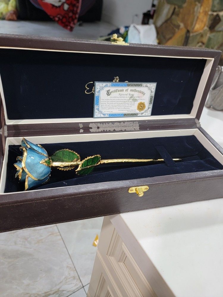 24k Gold Eternity Rose