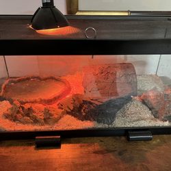 Snake Tank, All Included