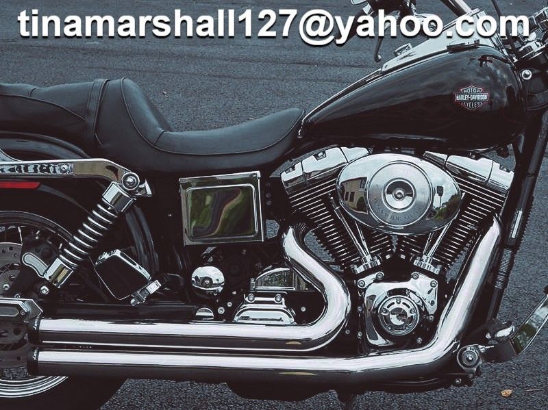 2002 Harley-Davidson