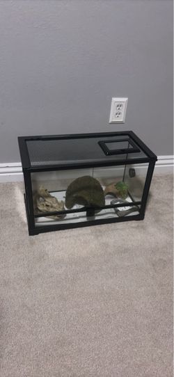10 Gal Glass Reptile Terrarium with Accessories