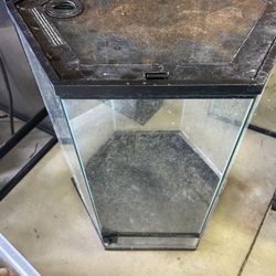 Terrariums For Sale 