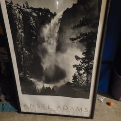 Art Prints Two Ansel Adam's One Picasso Print