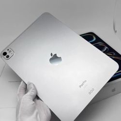 Apple iPad pro 512G