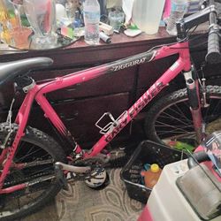 Gary Fisher Mountain Bike 