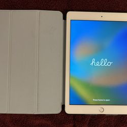 iPad 5th Generation 128 GB