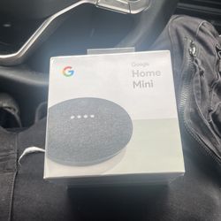 Grey Google Home