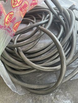 Hose