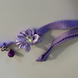 Dainty Pet collar