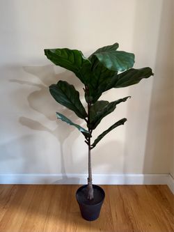 Artificial Fiddle Leaf Fig Tree