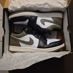 Low Top Jordan's 