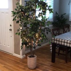 6 Foot Artificial Plants -Purchased from HomeGoods 