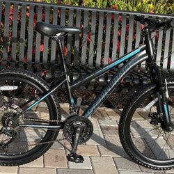 Schwinn 24-in. Sidewinder Unisex Mountain Bike, Black & Teal, 21 Speeds
