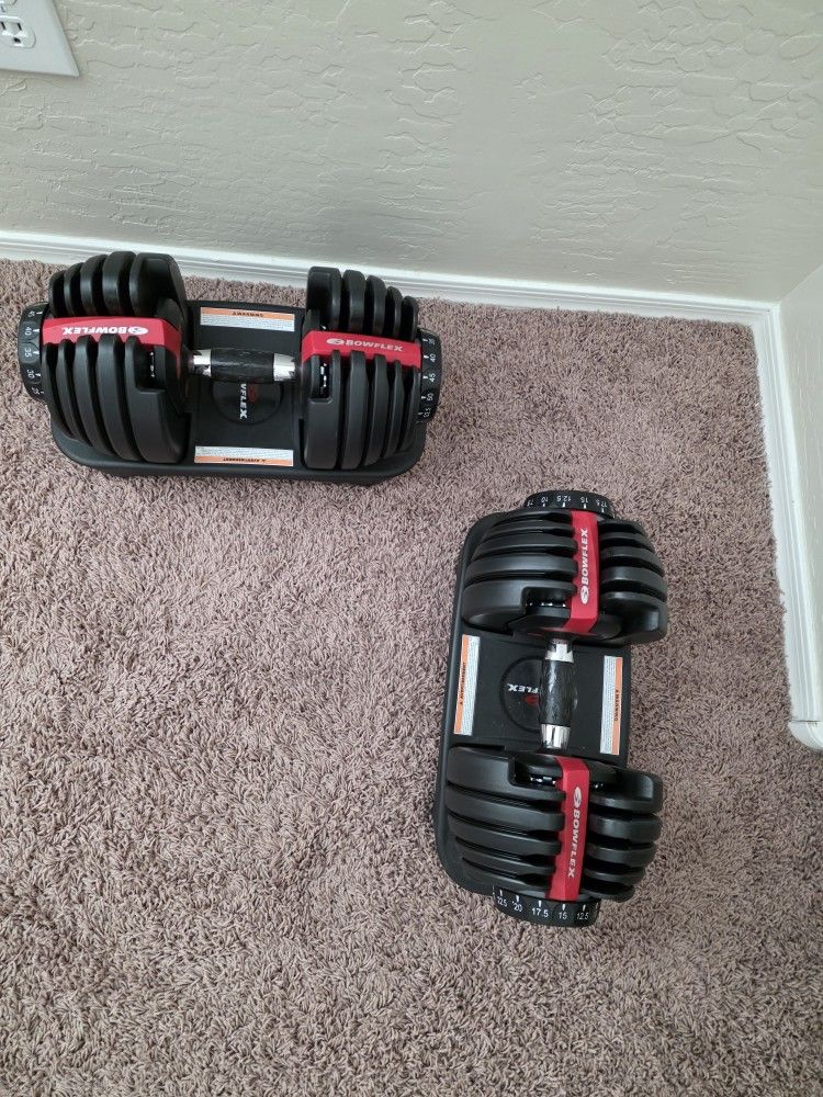 Bowflex Weights