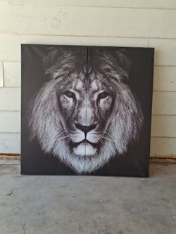 Lion portrait