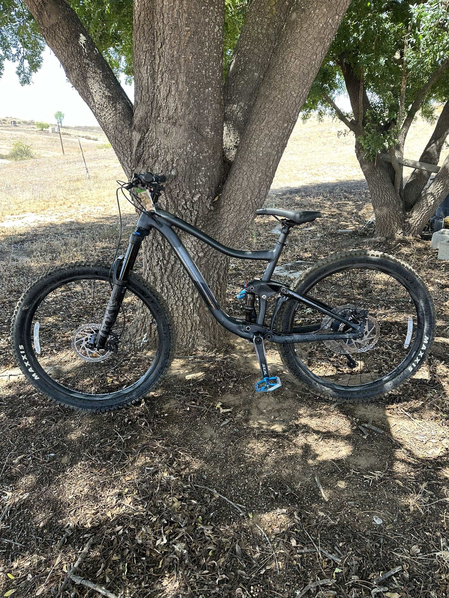 2019 Giant Trance 2