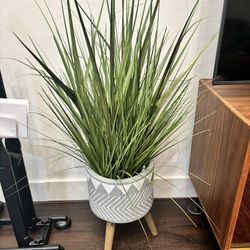 Fake plant & vase