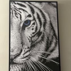 White tiger wall art