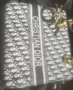 Christian Dior (Lady Dior )