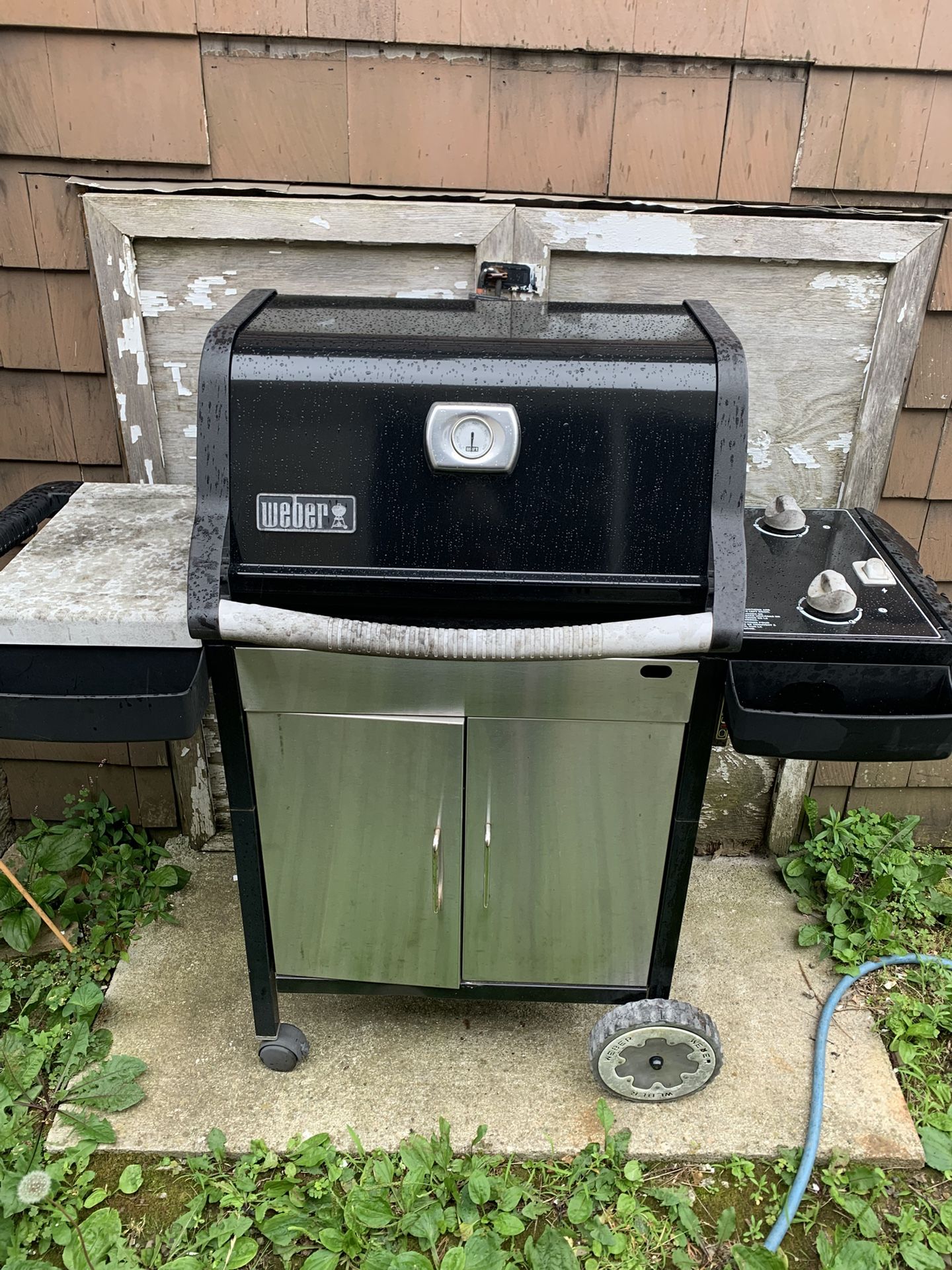 Weber Grill 