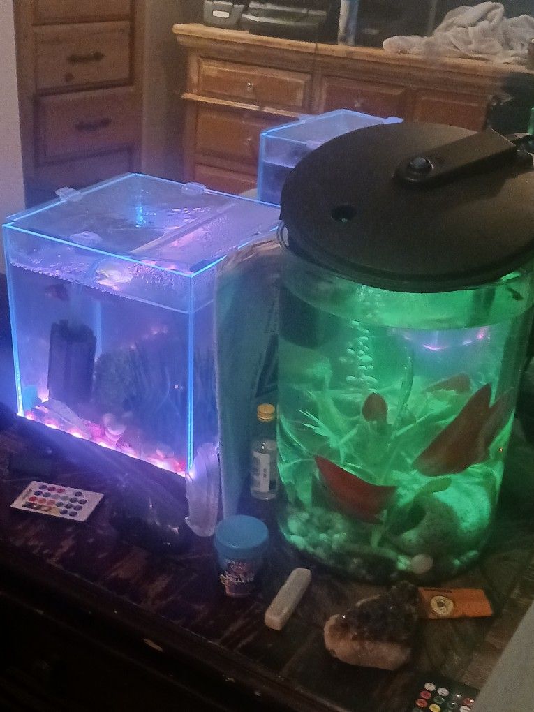 2-3 Gallon Fish Tanks For Sale