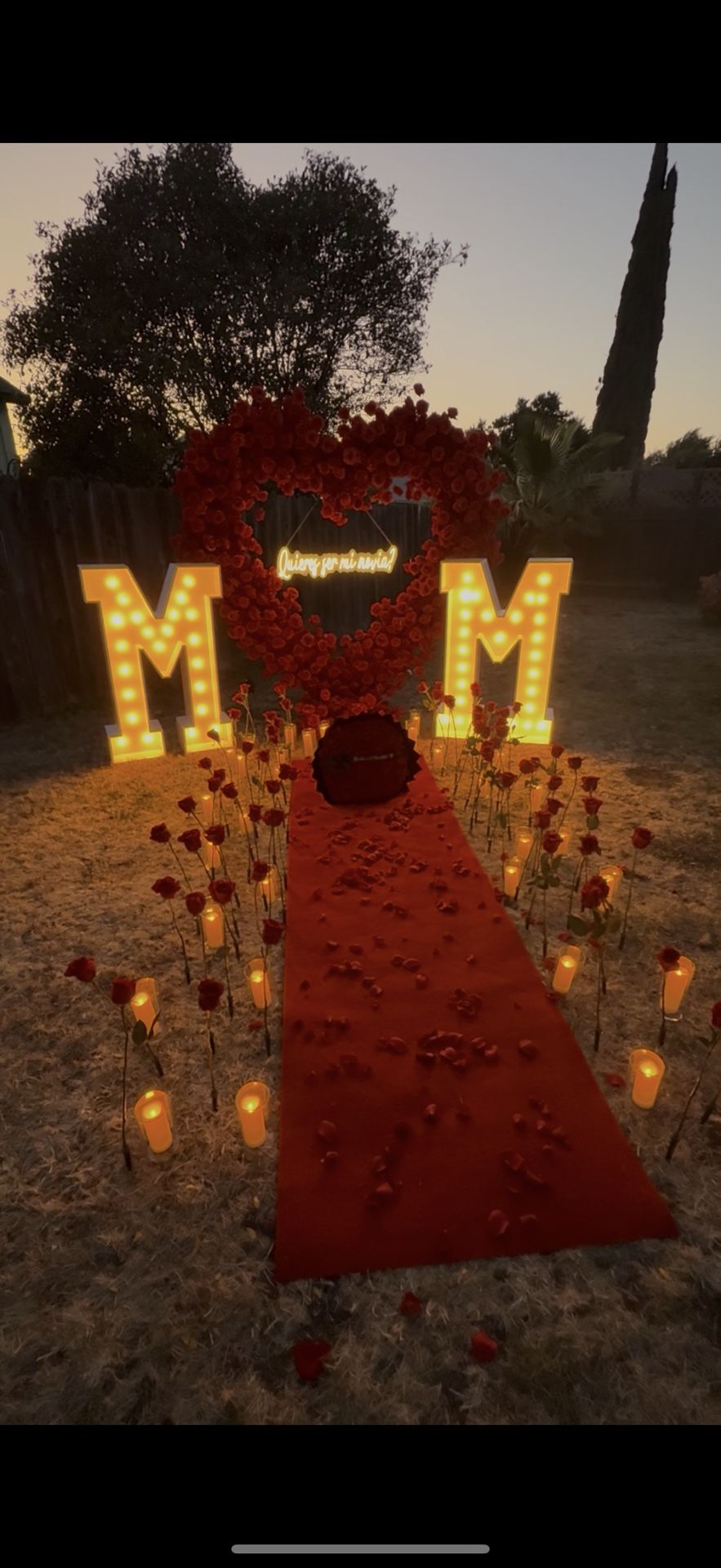 Will You Marry Me