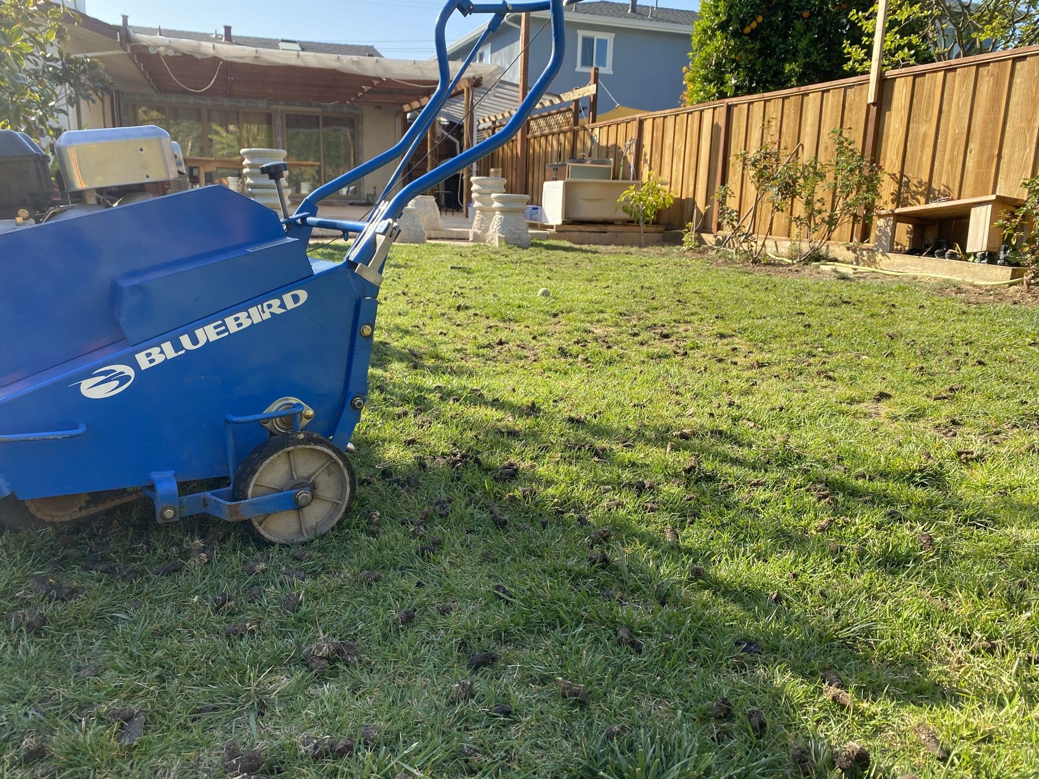 Lawn Aerator