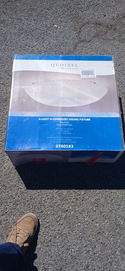 Ceiling fixture PALADIAN 4 LIGHT FLUSHMOUNT silver finish, screen printed glass #0760183