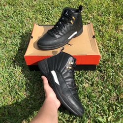 jordan 12 the master size 12