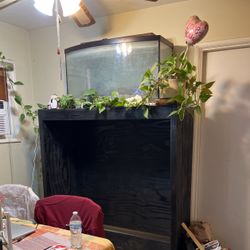 Fish Tank And Stand For Sale
