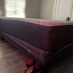 Beautyrest Adjustable Electric Bed Frame