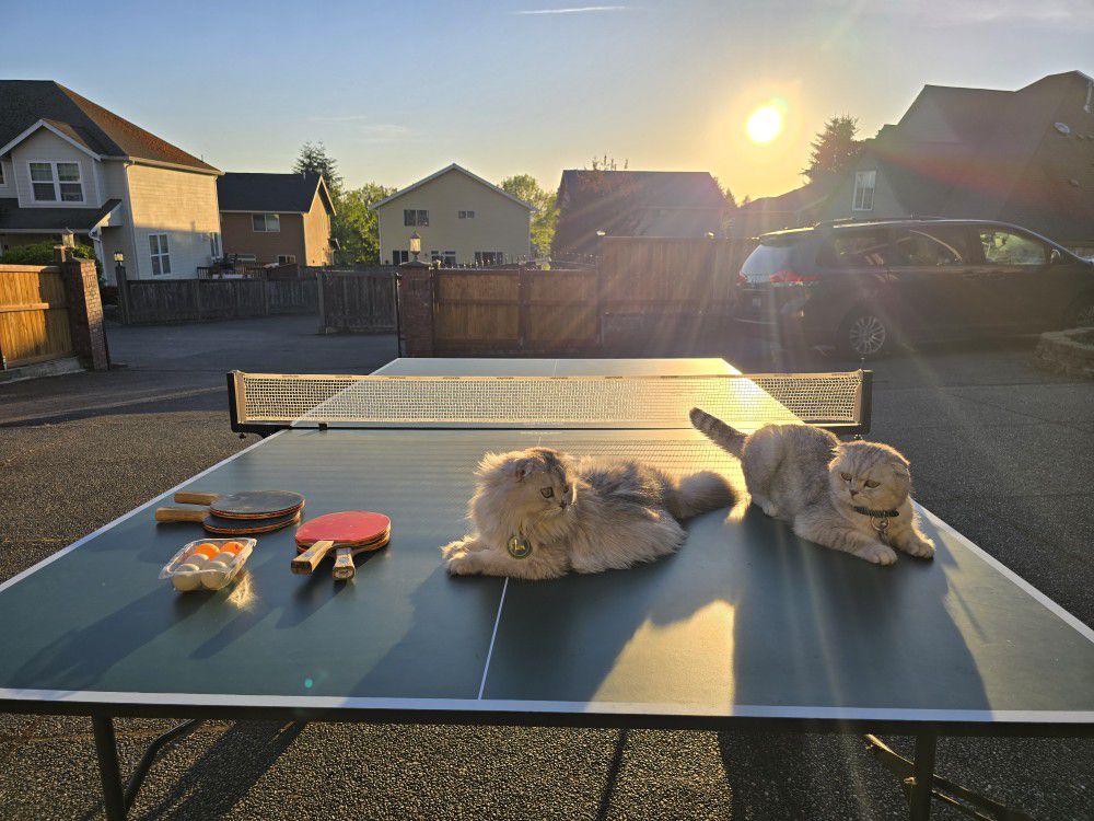 KETTLER Ping Pong Table, Paddles And Balls 🏓